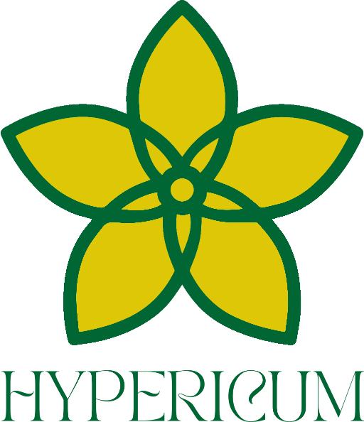 HYPERICUM — flor amarilla y verde