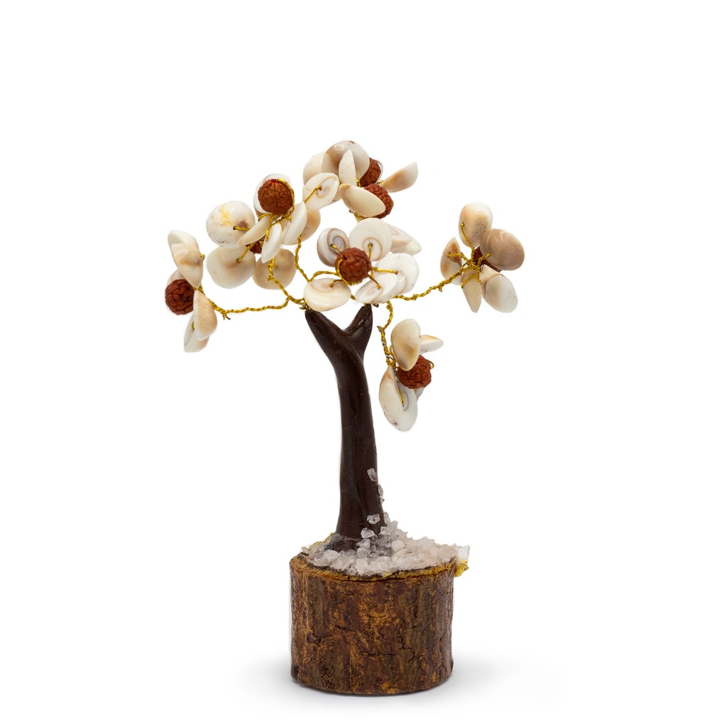 [GCC-03] Gomati Chakra Árboles de Piedra Círculo con Rudraksha Mediano - (45 piedras)