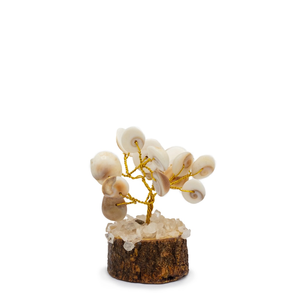 [GCC-04] Pequeño Gomati Chakra Árboles de Piedra Círculo con Rudraksha - (15 piedras)