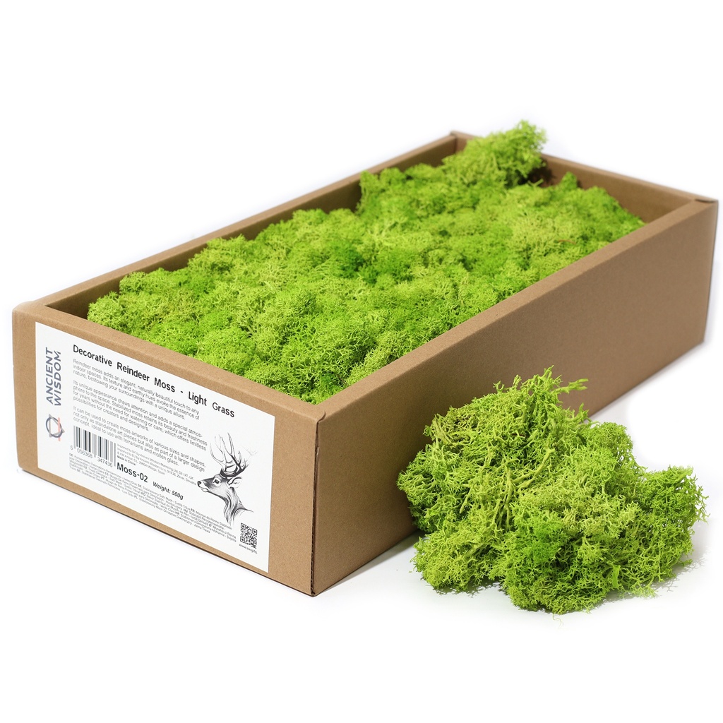 [Moss-02] 1x Musgo Decorativo -Verde Claro - (aprox. 500g)