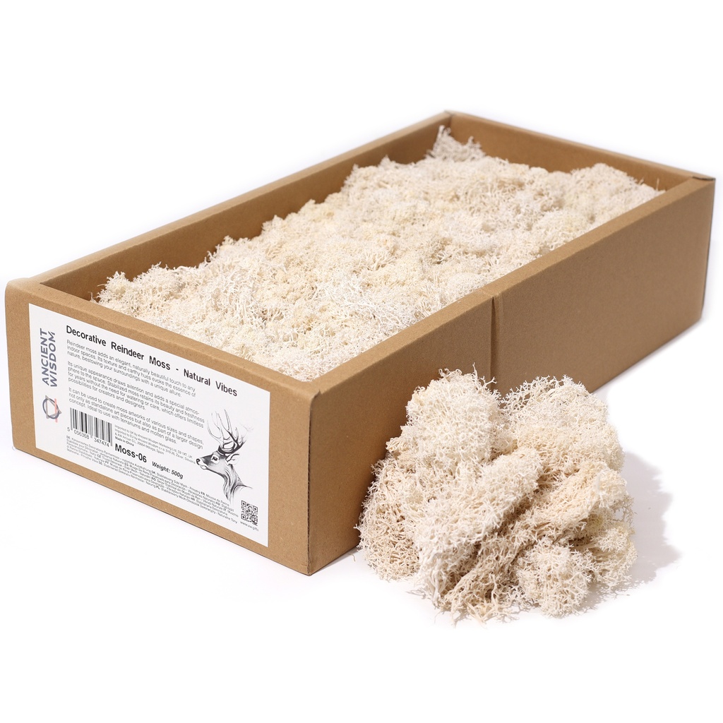 [Moss-06] 1x Musgo Decorativo - Natural - (aprox. 500g)