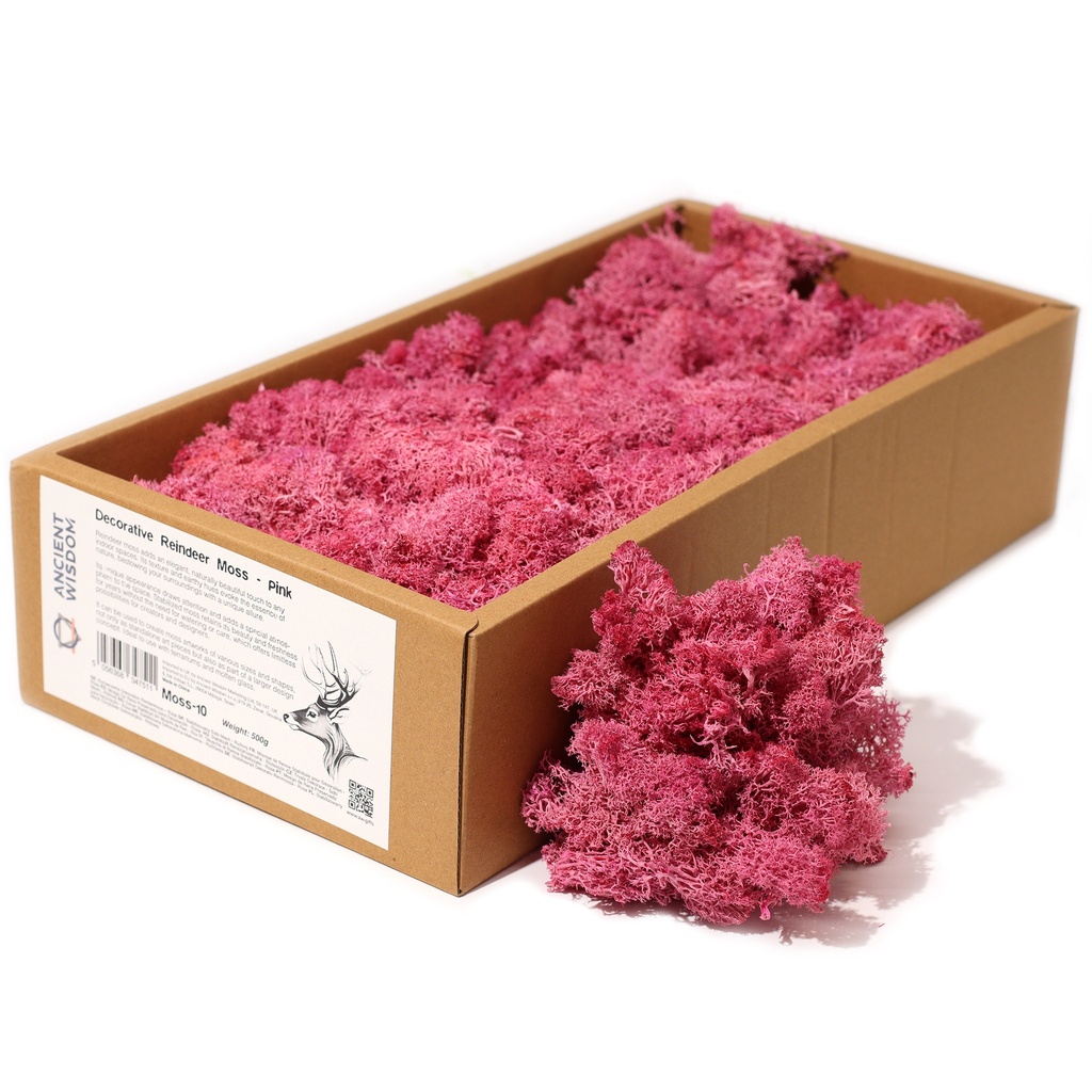 [Moss-10] 1x Musgo Decorativo - Rosa - (aprox. 500g)