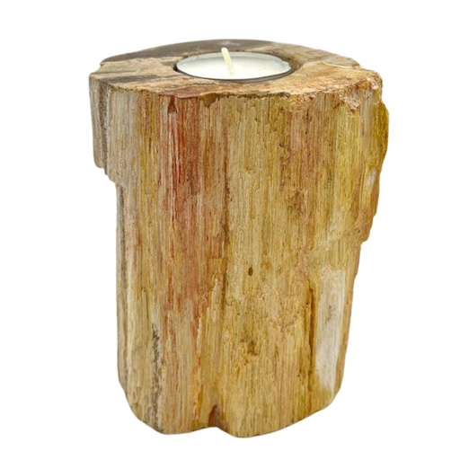 [PetW-02] Portavelas de madera petrificada - Soltero alto