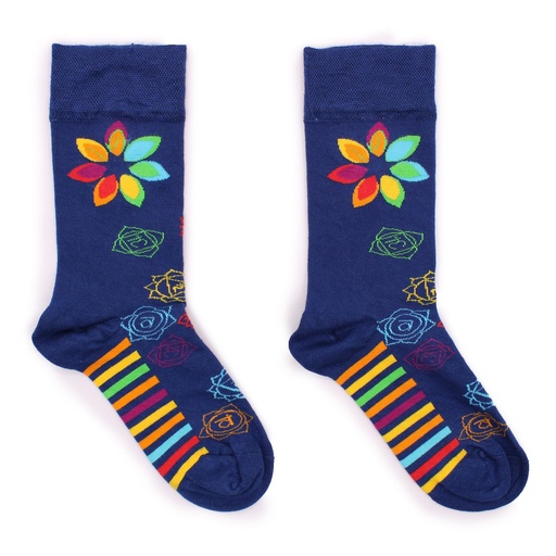 [BamS-19M] Calcetines Hop Hare (41-46) - Chakra del arcoíris