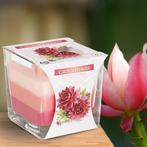 [RJC-03] Rainbow Jar Vela - Flor de cactus