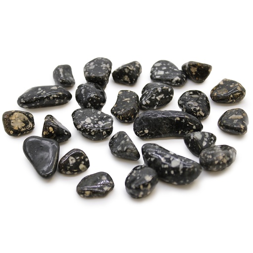 [ATumbleS-04] Pequeñas piedras africanas - Gallina de Guinea
