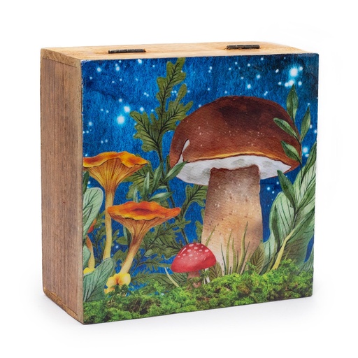 [ENBT-06] Caja cuadrada grande 15x17.5x8cm - Diseño seta verde azulado
