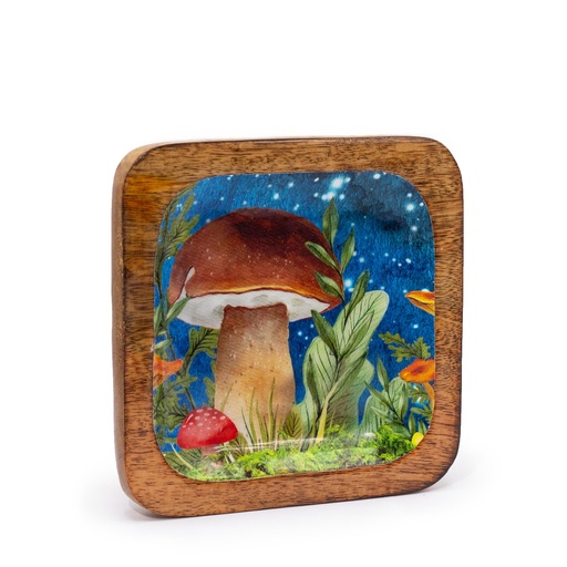 [ENBT-08] Bandeja cuadrada grande 15x15x2.5cm - Diseño seta verde azulado