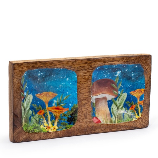 [ENBT-10] Bandeja doble 20x10x2.5cm - Diseño seta verde azulado