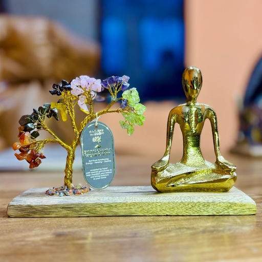[GemTG-11] Jardín de Gemas Yoga Mudra - Siete Chakras - 100 Chips