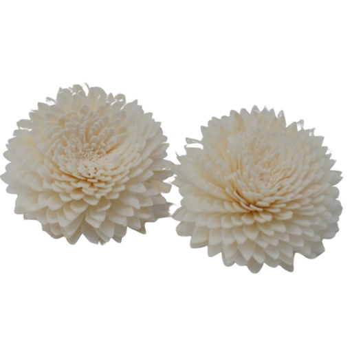 [Ndiff-01] Difusor de Flores Naturales - Clavel Grande en  Cuerda