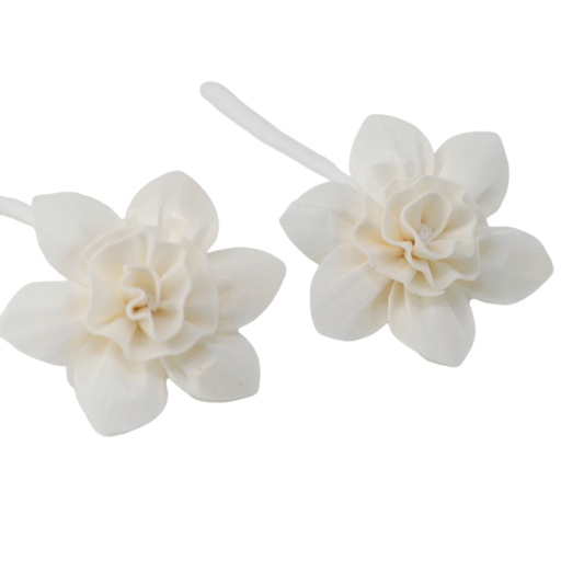 [Ndiff-03] Difusor de Flores Naturales - Lirio Grande en Cuerda