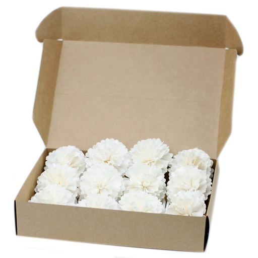[Ndiff-05] Flores Naturales para Difusor - Clavel Med en  Cuerda