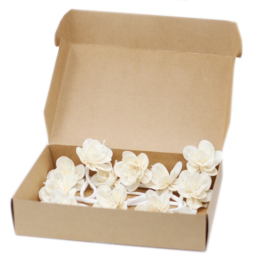 [Ndiff-06] Flores Naturales para Difusor - Lirio Pequeño en  Cuerda