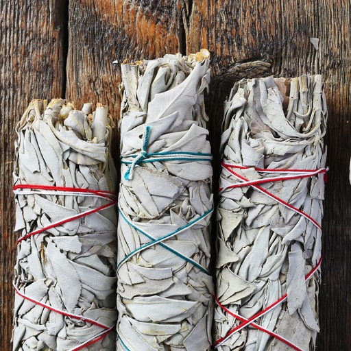[SmudgeS-11] Palito de Hierbas  - Salvia Blanca 10cm