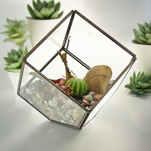 [GTer-06] Terrario de Vidrio - Cubo en la Esquina