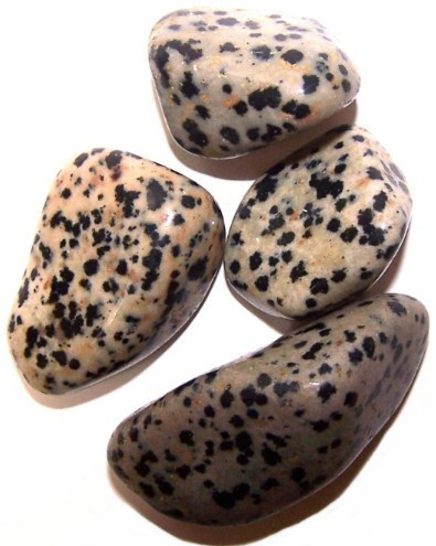[TBm-03] L Tumble Stones - Dalmata