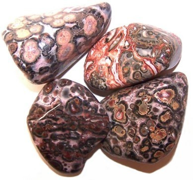 [TBm-08] L Tumble Stones - Leopard Skin