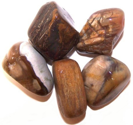[TBm-10] L Tumble Stones - Madera Petrificada