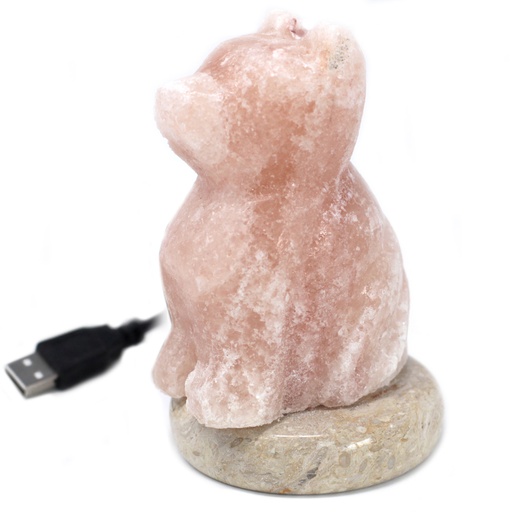 [QSalt-85N] Lámpara de sal USB - Perro