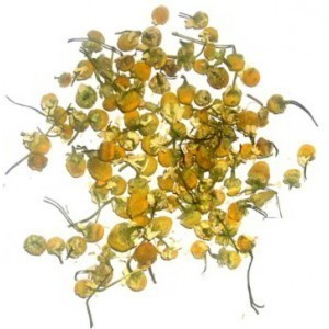 [PF-06] Flores de Camomila 1kg