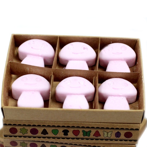 [LWMelt-05] Caja de 6 ceras de Soja - Ylang Ylang