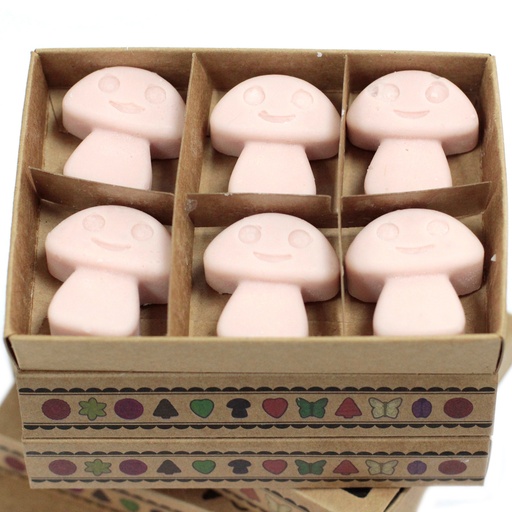 [LWMelt-12] Caja de 6 ceras de Soja - Jengibre