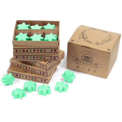 [LWMelt-20] Caja de 6 ceras de Soja - Jardín escondido