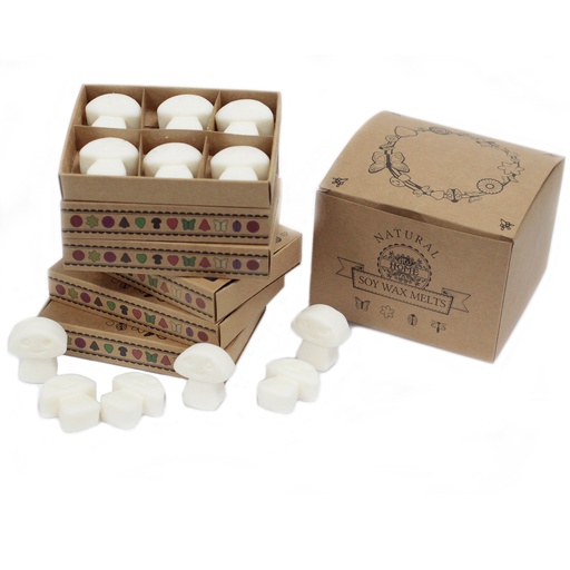 [LWMelt-21] Caja de 6 ceras de Soja - Canela Y Naranja