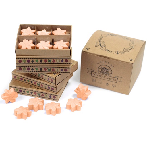 [LWMelt-24] Caja de 6 ceras de Soja - Tuberosa