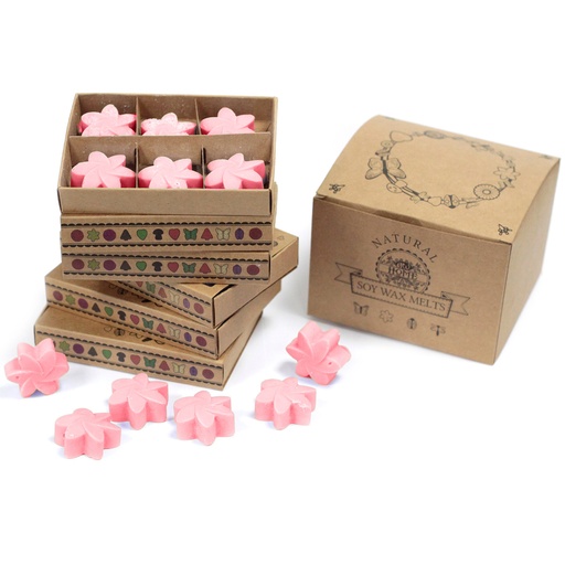 [LWMelt-15] Caja de 6 ceras de Soja - Rosa clásica