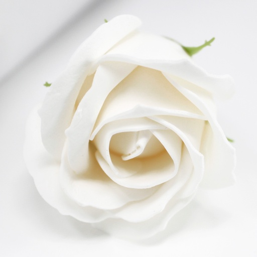 [CSFH-01] Flor de manualidades deco mediana - Blanca