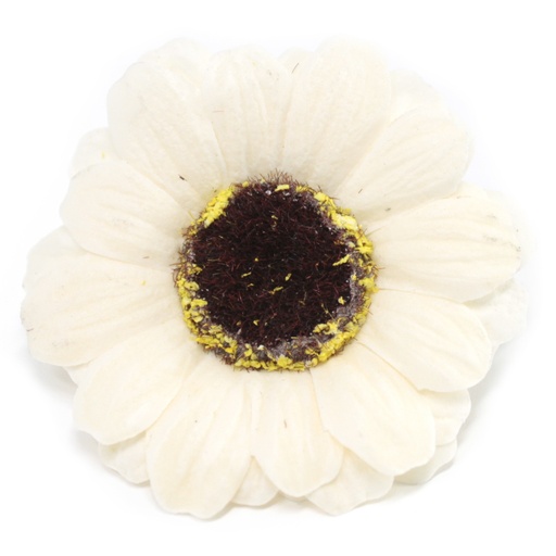 [CSFH-29] Flor de girasol manualidades deco mediana - marfil