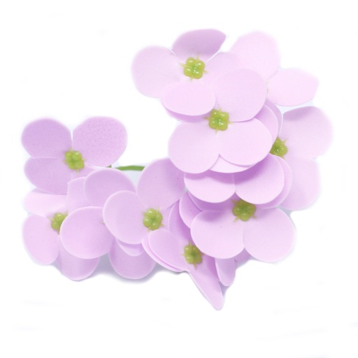 [CSFH-37] Flores de Jabón Manualidades - Jacinto - Lavanda