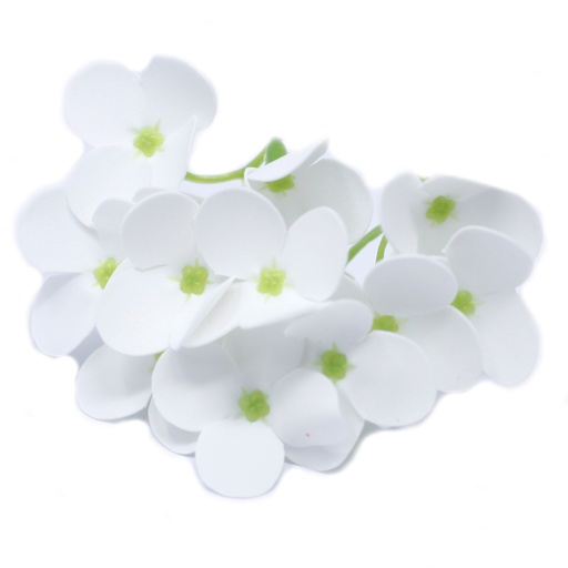 [CSFH-39] Flores de Jabón Manualidades - Jacinto - blanca