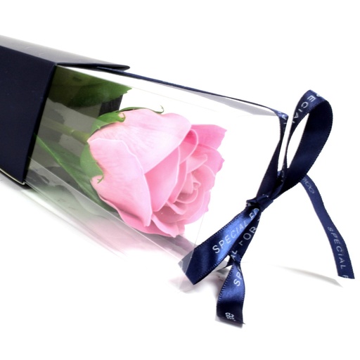[LSF-24] Rosa simple - rosa rosa