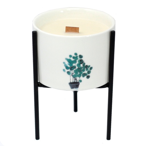 [BotC-IRN] 1 Candelabro Botánico De Hierro